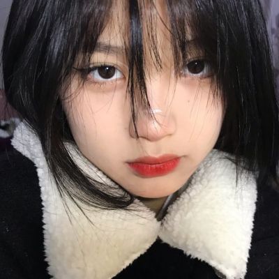 4949澳门免费资料大全手机app下载