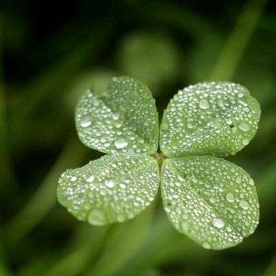 Kaiyun下载手机版